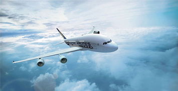 外運(yùn)發(fā)展最新消息流出 近期能否飆升暴漲