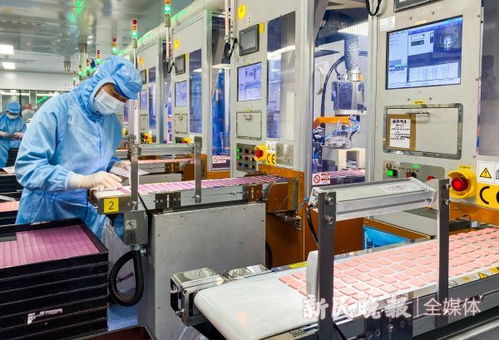 上過太空的酵母,定制口紅的機器人,到第八屆上交會體驗美妝科技